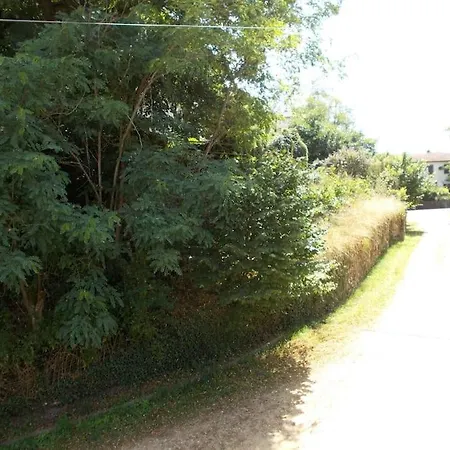 Du Rempart 度假居 *